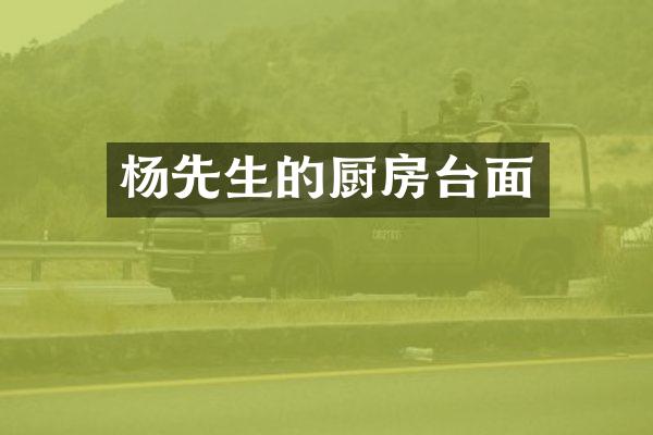 杨先生的厨房台面
