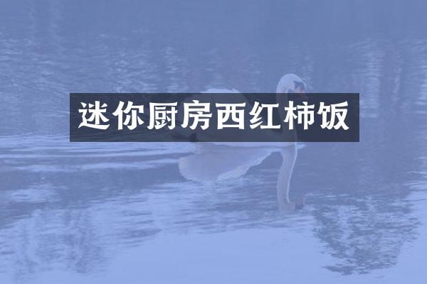 迷你厨房西红柿饭