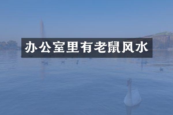 办公室里有老鼠风水