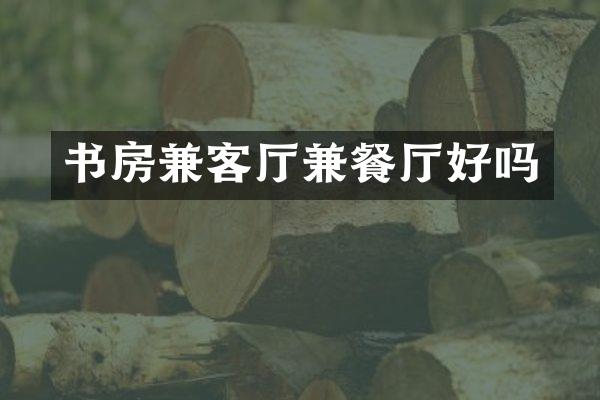 书房兼客厅兼餐厅好吗