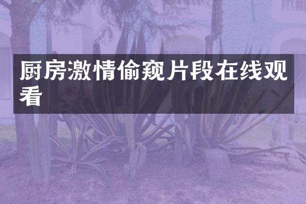 厨房激情偷窥片段在线观看