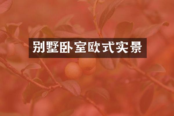 别墅卧室欧式实景