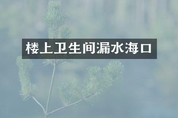 楼上卫生间漏水海口