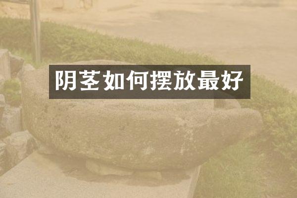 阴茎如何摆放最好