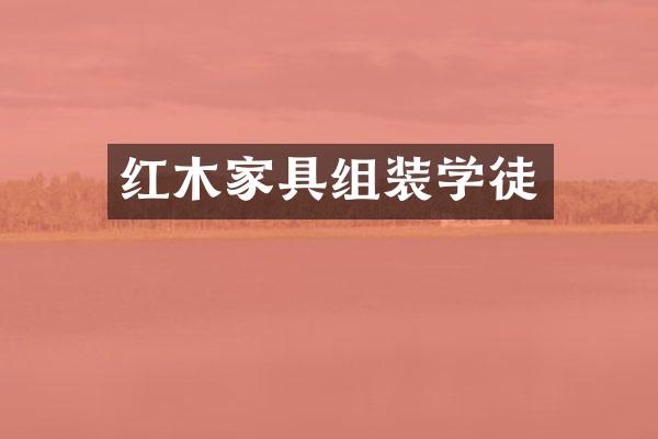 红木家具组装学徒