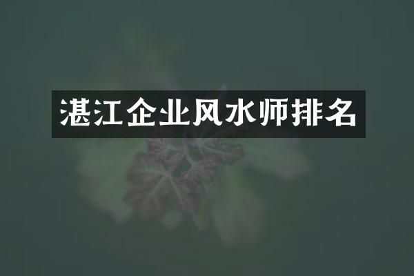湛江企业风水师排名