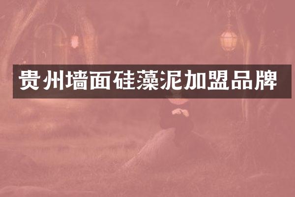 贵州墙面硅藻泥加盟品牌