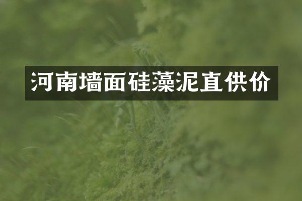 河南墙面硅藻泥直供价