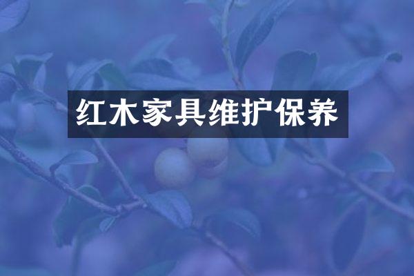 红木家具维护保养