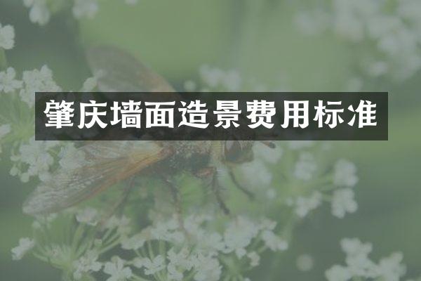 肇庆墙面造景费用标准