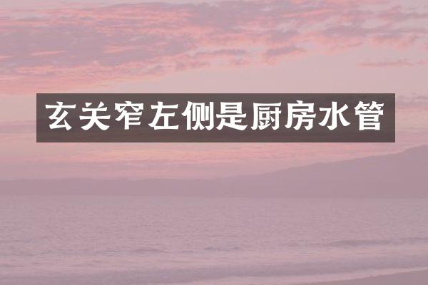 玄关窄左侧是厨房水管