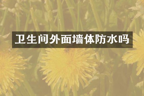 卫生间外面墙体防水吗