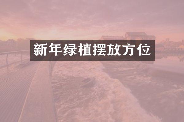 新年绿植摆放方位