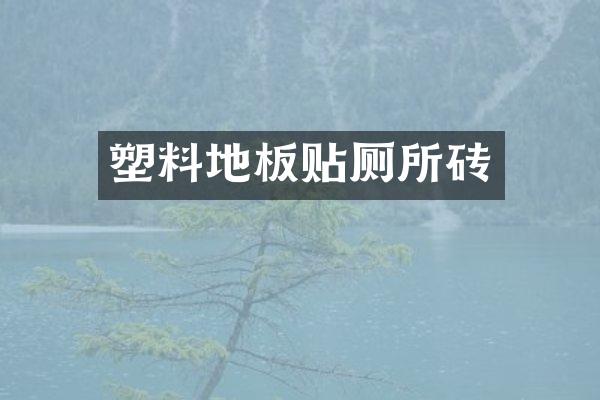 塑料地板贴厕所砖