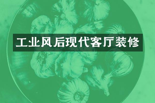 工业风后现代客厅装修
