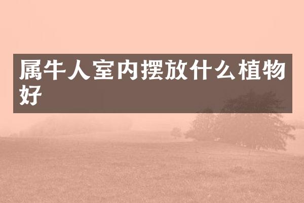属牛人室内摆放什么植物好