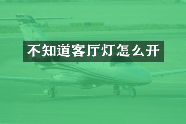 不知道客厅灯怎么开