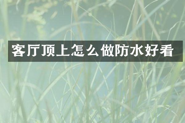 客厅顶上怎么做防水好看
