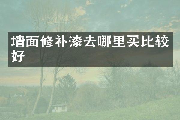 墙面修补漆去哪里买比较好