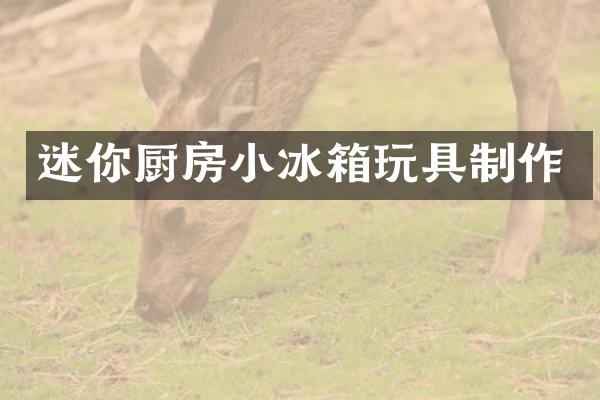迷你厨房小冰箱玩具制作