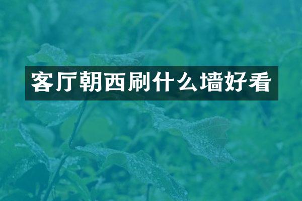 客厅朝西刷什么墙好看