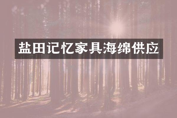 盐田记忆家具海绵供应