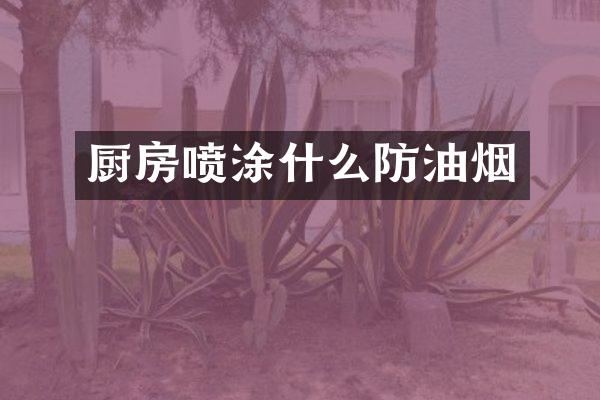 厨房喷涂什么防油烟