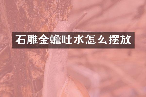 石雕金蟾吐水怎么摆放