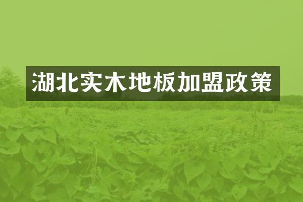 湖北实木地板加盟政策