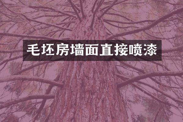 毛坯房墙面直接喷漆