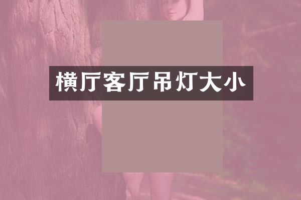 横厅客厅吊灯大小