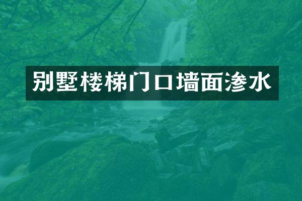 别墅楼梯门口墙面渗水