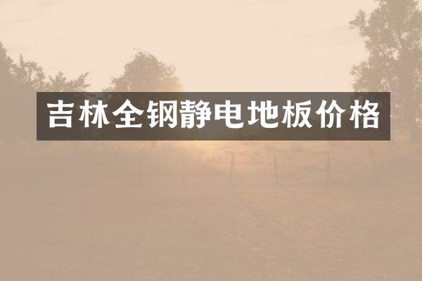吉林全钢静电地板价格