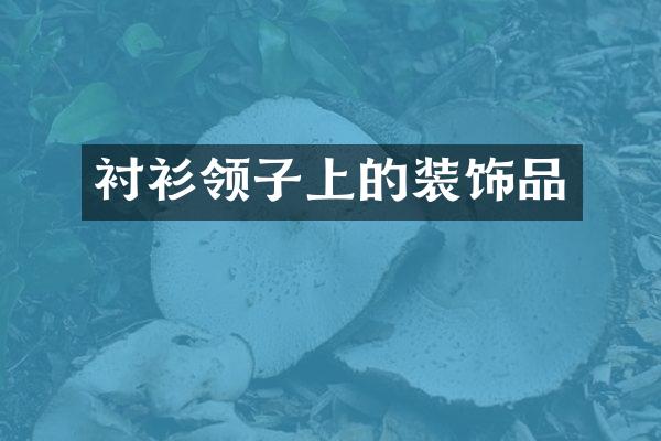 衬衫领子上的装饰品