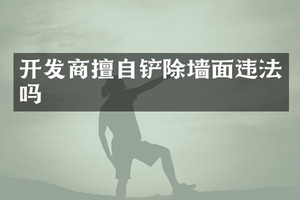开发商擅自铲除墙面违法吗