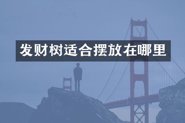 发财树适合摆放在哪里