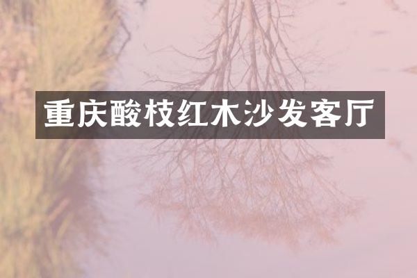 重庆酸枝红木沙发客厅