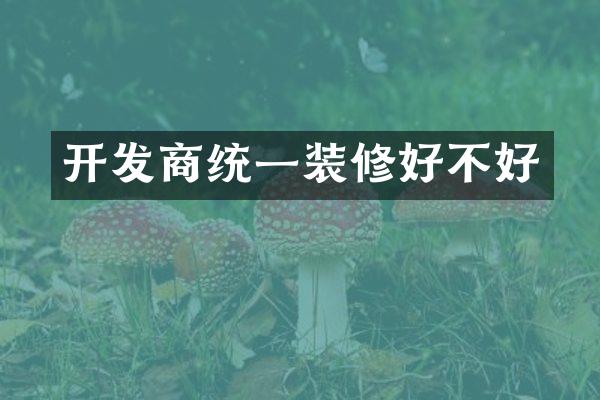 开发商统一装修好不好