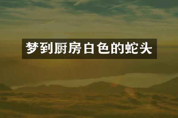梦到厨房白色的蛇头