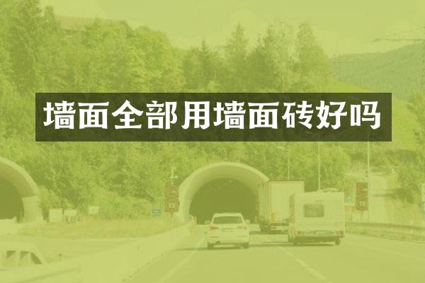 墙面全部用墙面砖好吗