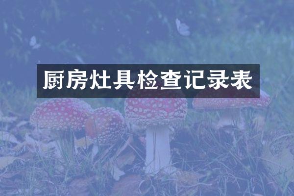 厨房灶具检查记录表
