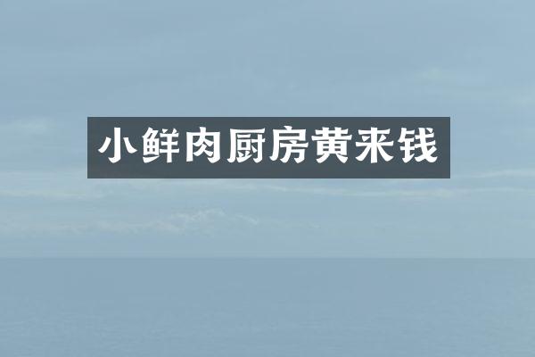 小鲜肉厨房黄来钱