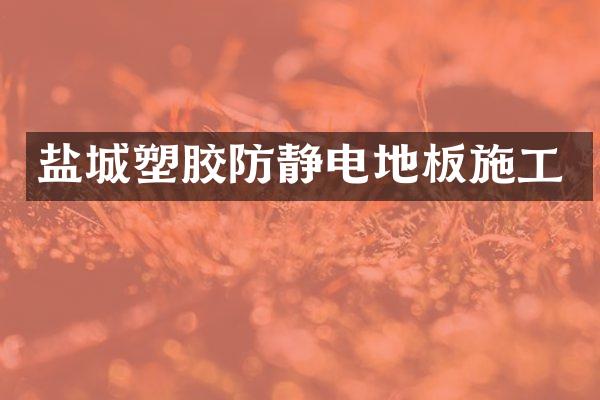 盐城塑胶防静电地板施工
