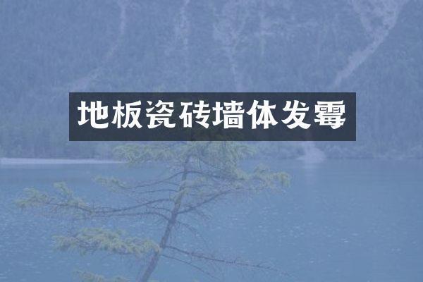 地板瓷砖墙体发霉