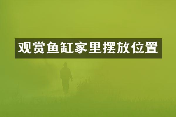 观赏鱼缸家里摆放位置