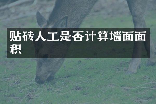 贴砖人工是否计算墙面面积