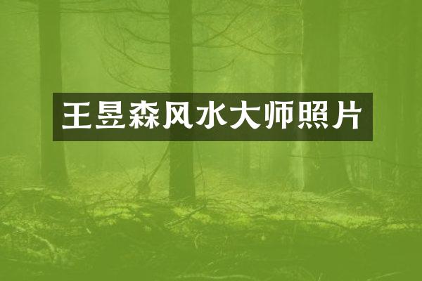 王昱森风水大师照片