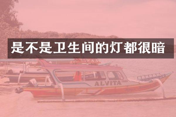 是不是卫生间的灯都很暗