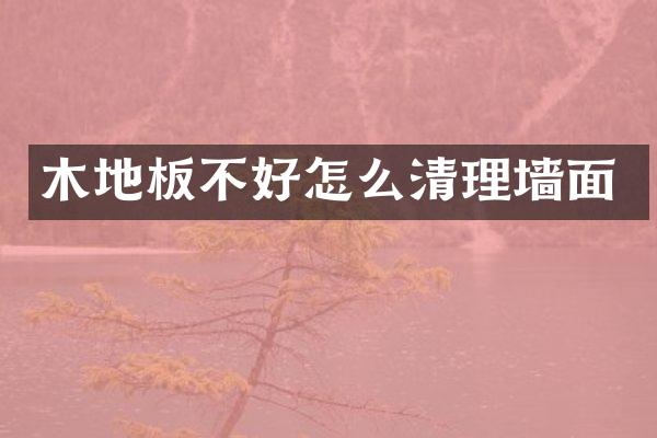 木地板不好怎么清理墙面