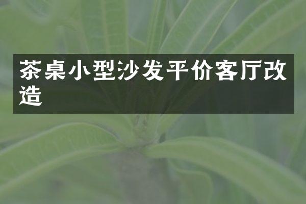 茶桌小型沙发平价客厅改造